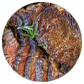 PRIME RIBEYE STEAK 16OZ